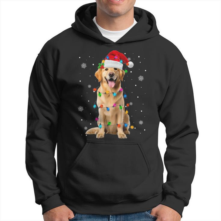 Golden Retriever Christmas Santa Hat Xmas Lights Dog Lover Hoodie