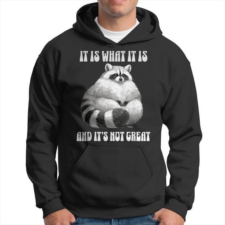 It Is What It Is And Its Not Great Racoon Vintage Meme Hoodie