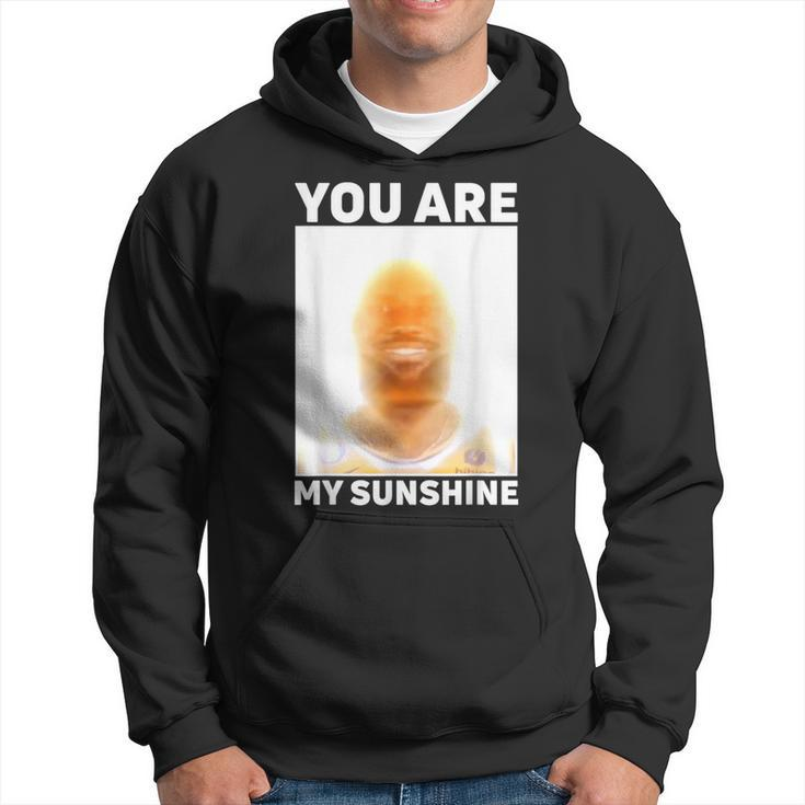 James Meme You Are My Sunshine Hoodie