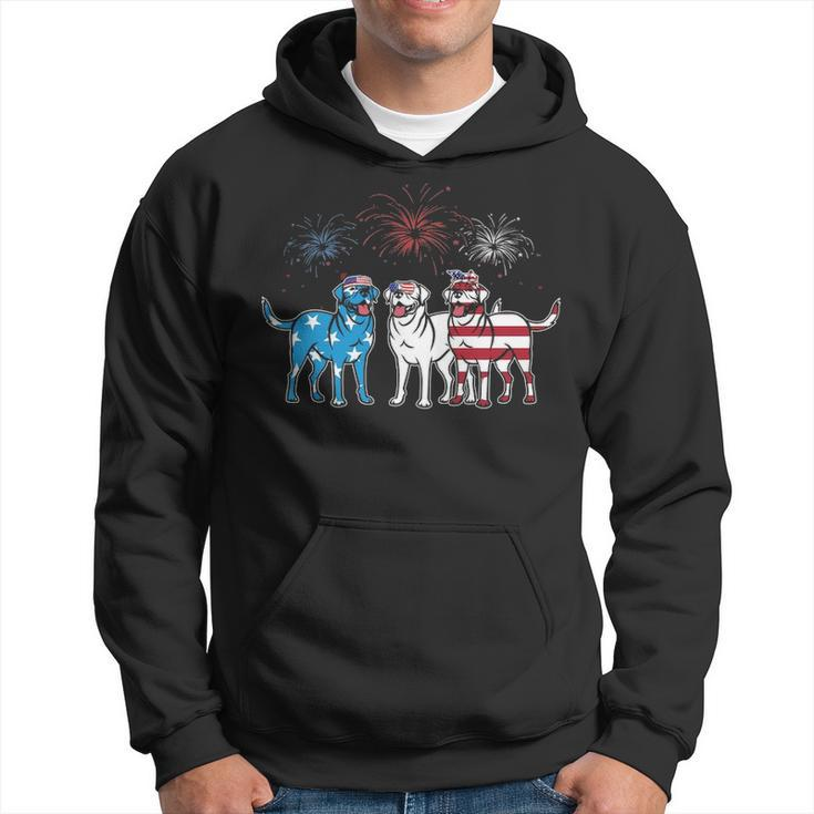 Labrador American Flag Usa 4Th Of July For Dog Lover Hoodie