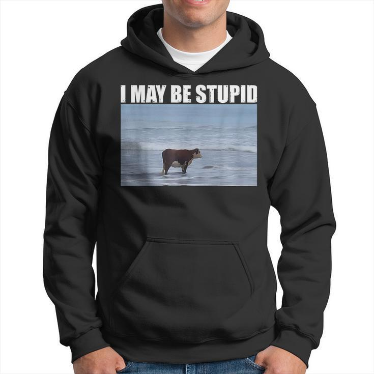 I May Be Stupid Cow Meme I May Be Stupid Hoodie
