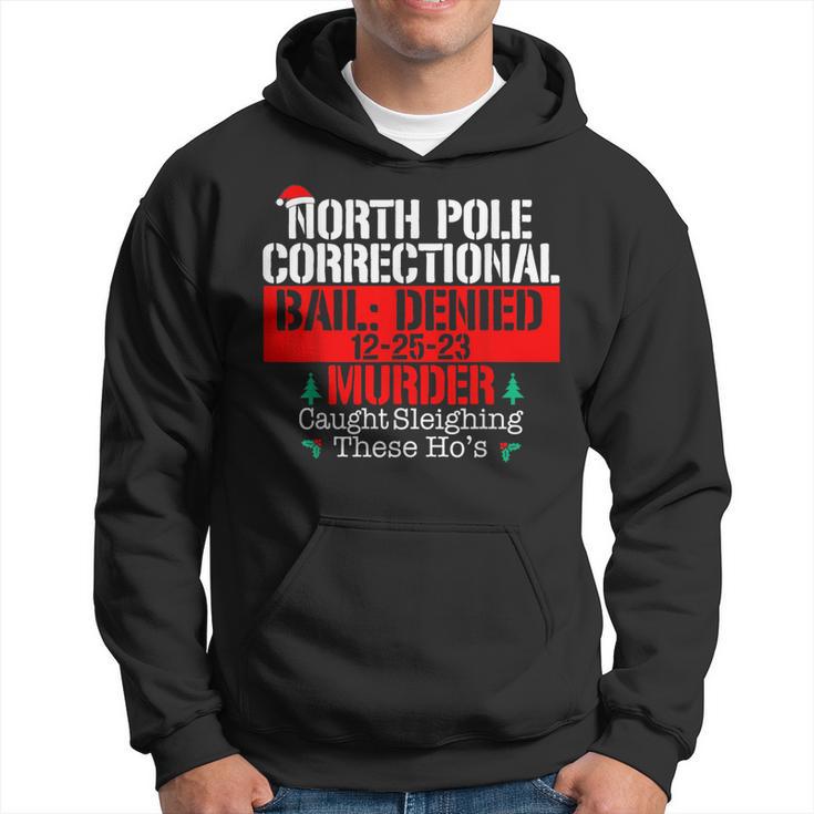 North Pole Correctional Sleighing These Ho's Matching Family Hoodie