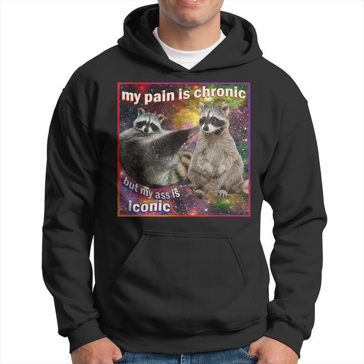 My Pain Is Chronic But My Ass Is Iconic Meme Raccoon Hoodie