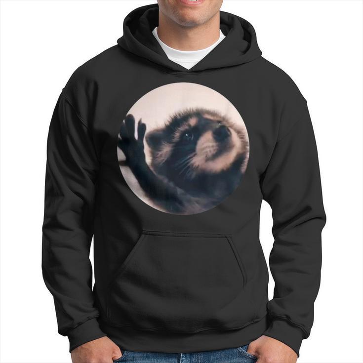 Pedro Racoon Dance Popular Internet Meme Mapache Dance Hoodie