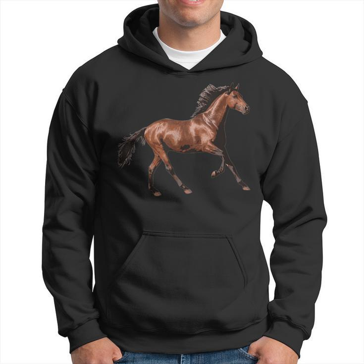 Pferd Braun Hengst Brauner Schwarze Mähne Hoodie