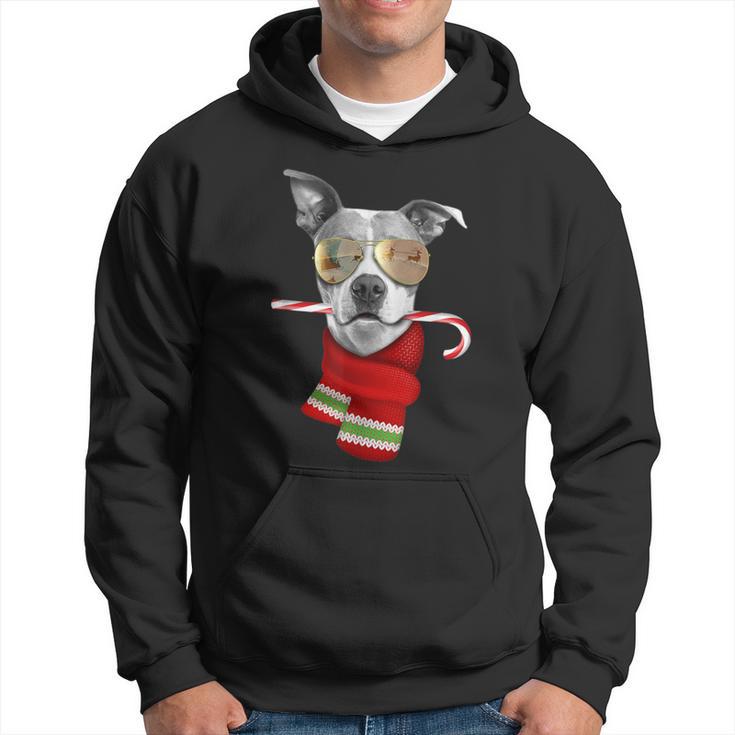 Pitt Bull Cute Christmas Dog Lovers Sunglasses Hoodie