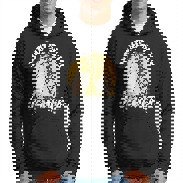 Promoted To Grandpa 2025 Hoodie