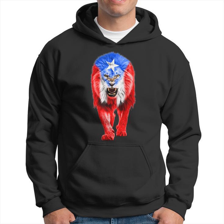 Puerto Rico Flag Lion Pride Puerto Rican Hispanic Hoodie