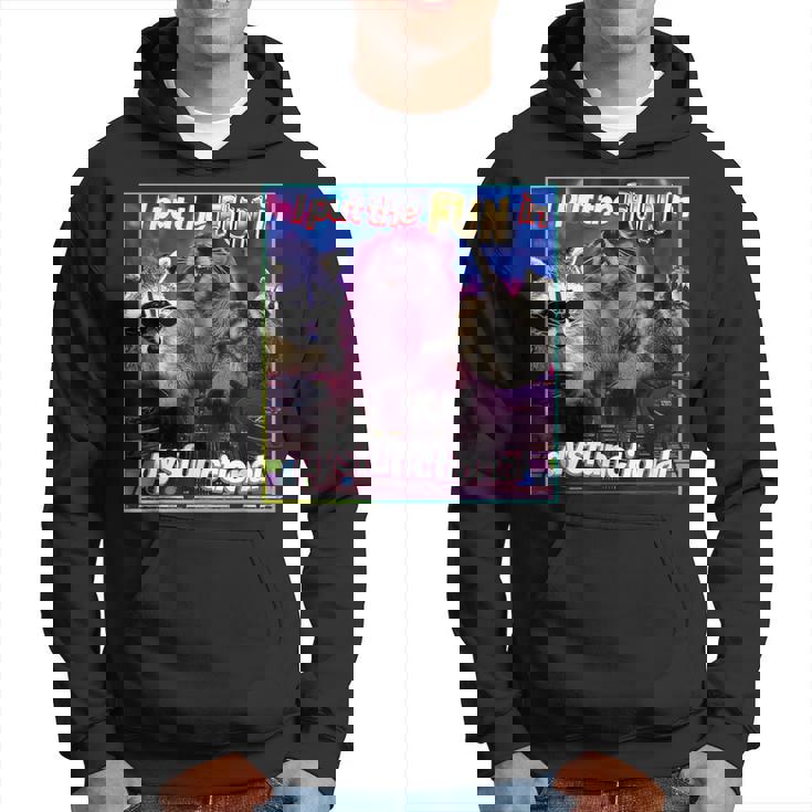 I Put Fun In Dysfunctional Raccoon Opossums Possums Meme Hoodie
