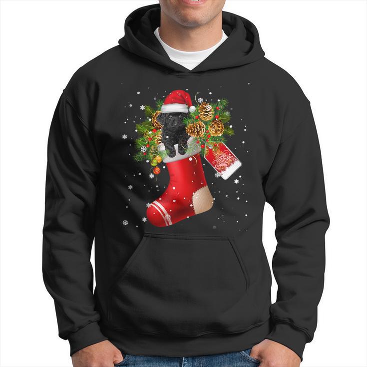 Santa Black Toy Poodle In Christmas Sock Pajama Hoodie