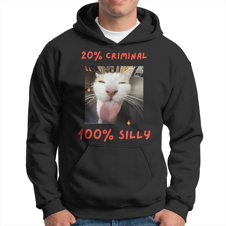 That Silly Cat Meme For The Internet Age Generation Hoodie