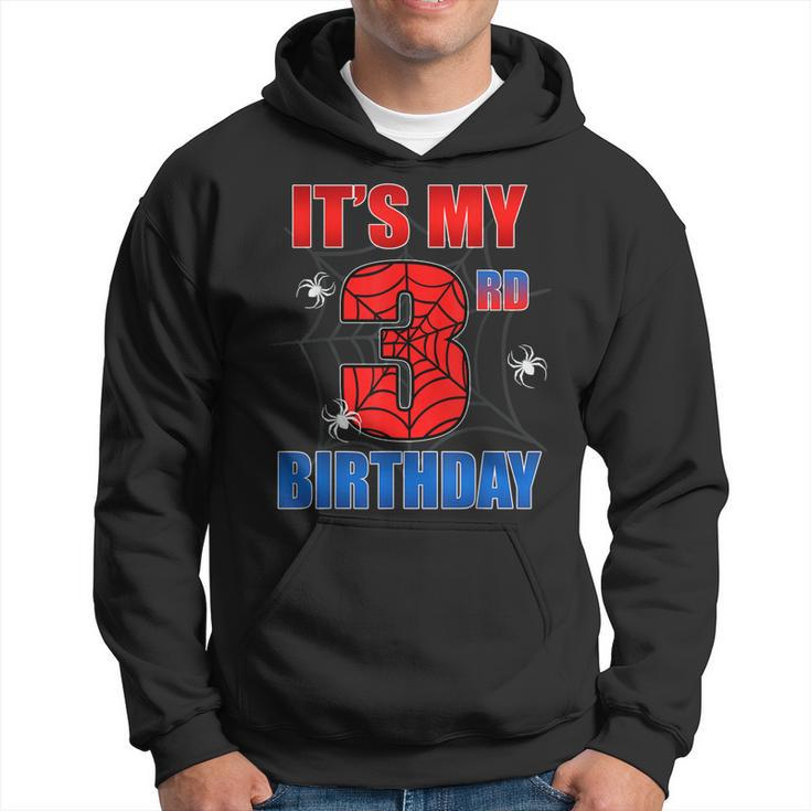 Spider Web 3 Years Old It's My 3Rd Birthday Boy Party Hoodie