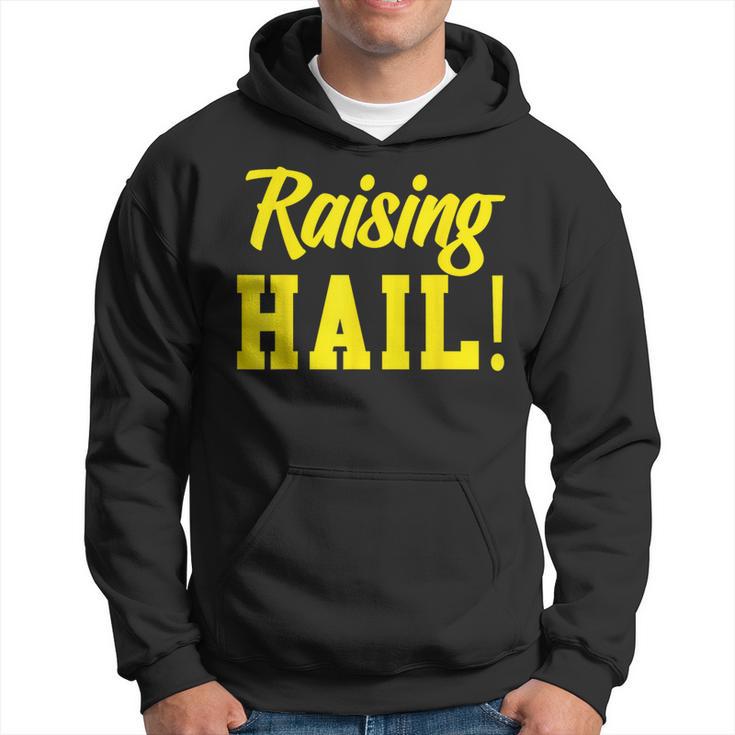 State Of Michigan Raising Hail U M Ann Arbor Mi Aa Hoodie