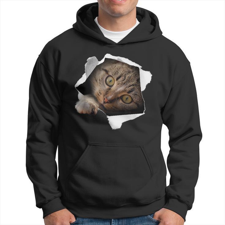 Stunning Tabby Cat Torn Cloth Cat Lovers Kitten Hoodie