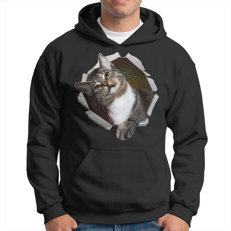 Sweet Kitten Torn Cloth Unique & Cool Cat Lover Hoodie