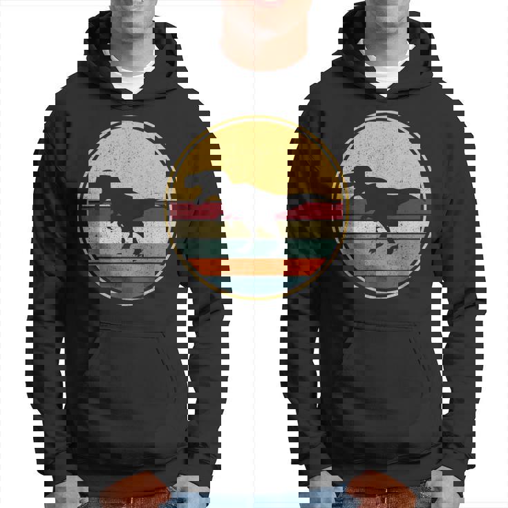 Tiranosaurio Rex Prehistoria Retro-Vintage Dinosaurio T-Rex Sudadera