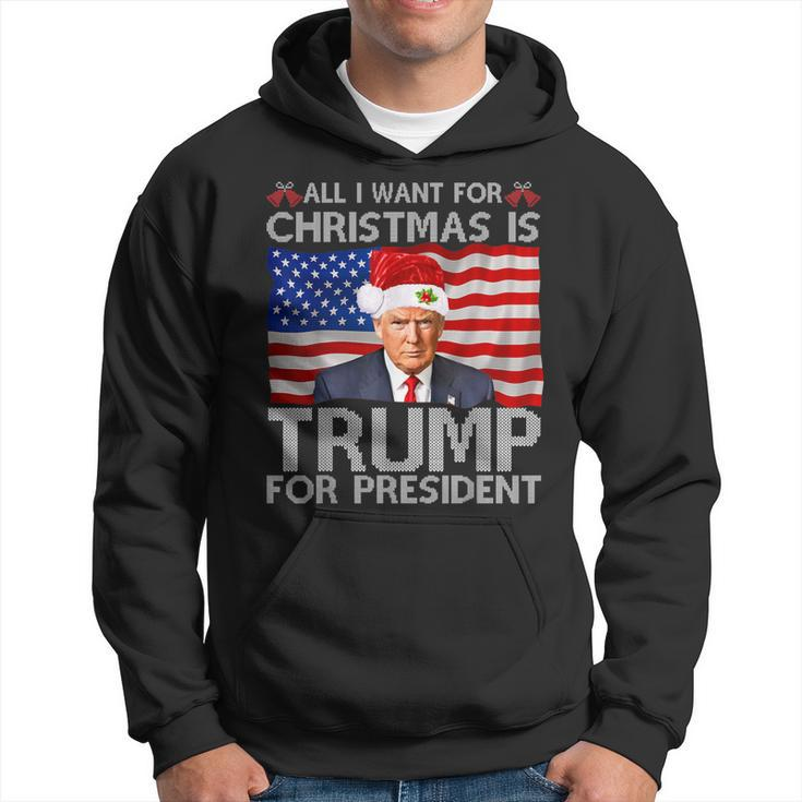All I Want For Christmas Is Trump Back 2024 Ugly Sweater Hoodie