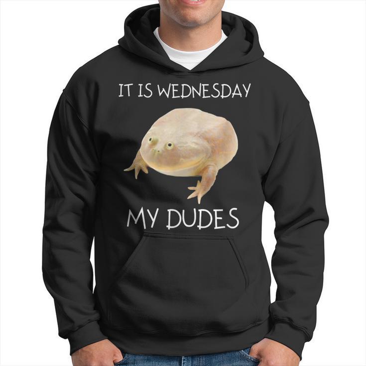 It Is Wednesday My Dudes Hoodie