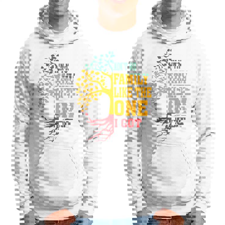Ain't No Family Like The One I Got Family Reunion 2024 Hoodie