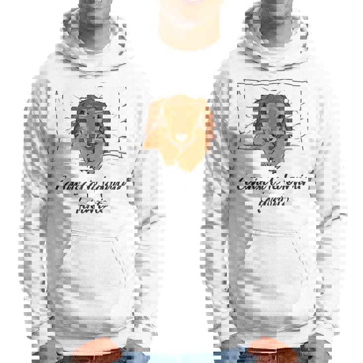 Camisa De Dormir Perro Pijama Perro Salchicha Sudadera