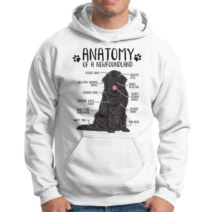 Anatomy Newfoundland Dog Cute Newfie Lover Men s T shirt Back Print Seseable CA