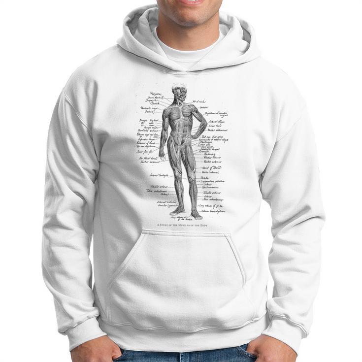 Human Muscle Anatomy Idea Hoodie