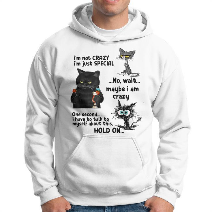I'm Not Crazy I'm Just Special Wait Maybe I'm Crazy Hoodie