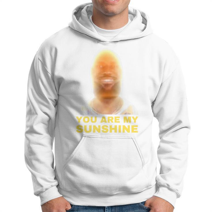 James Meme You Are My Sunshine Joke For And Women Hoodie