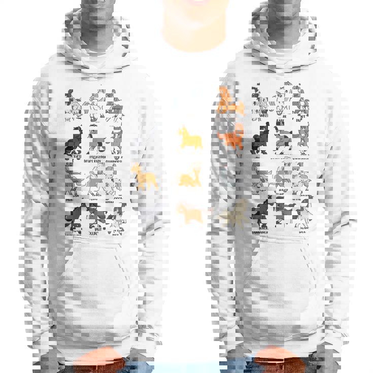 Muchas Razas De Caballos Caballos Kawaii De Dibujos Animados Sudadera