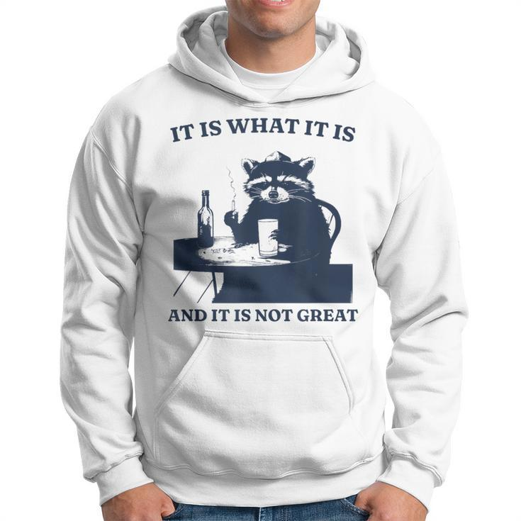 It Is What It Is And It Is Not Great Raccoon Meme Hoodie