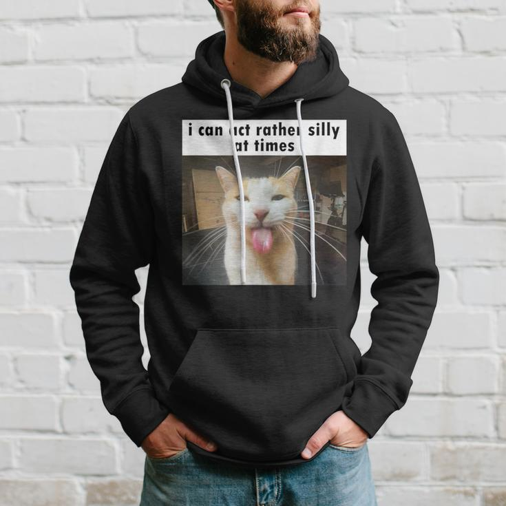 I Can Act Rather Silly At Times Silly Cat Meme Hoodie Gifts for Him
