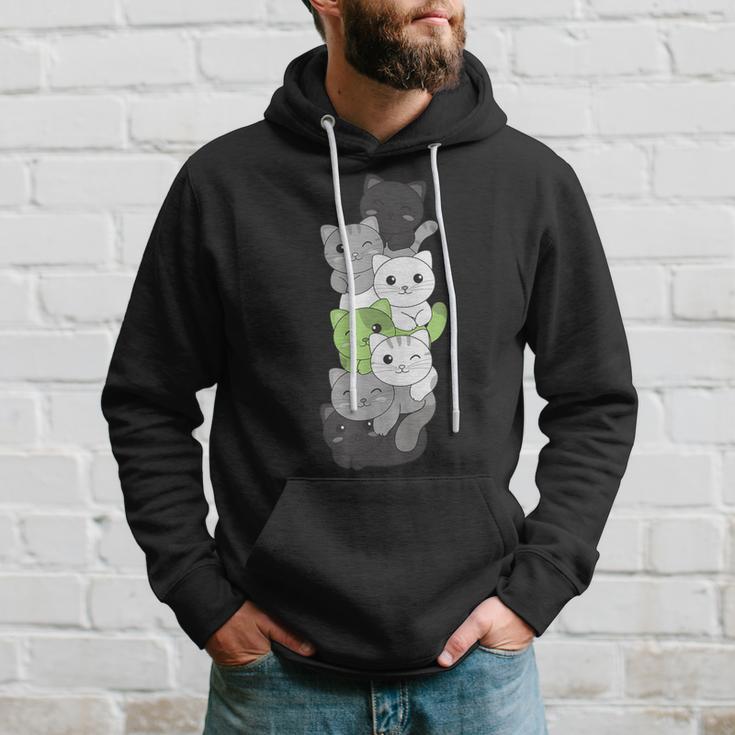 Agender Flag Non Binary Pride Lgbtq Cats Cute Agender Cat Hoodie Gifts for Him