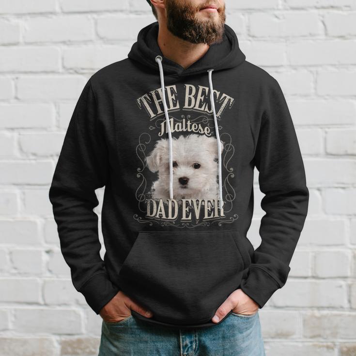 Best Maltese Dad All Maltese Dog intage Kapuzenpullover Geschenke für Ihn