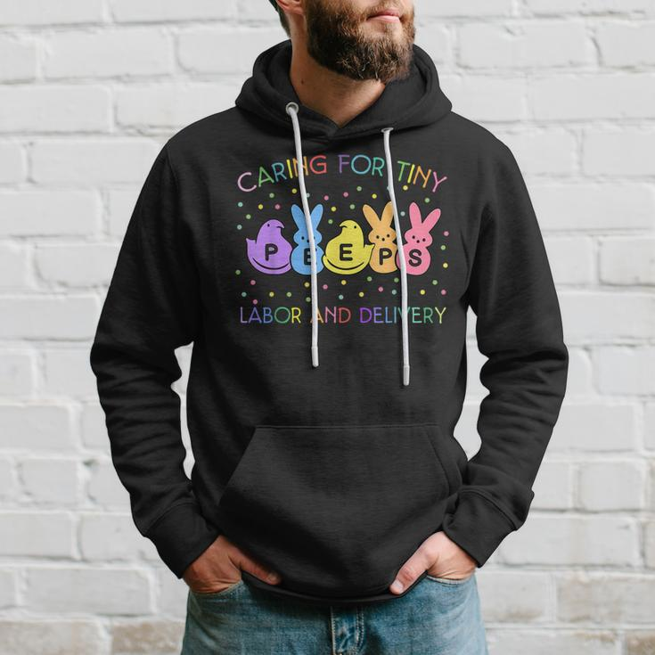 Caring For Tiny Labor And Delivery Bunnies L&D Easter Day Hoodie Gifts for Him