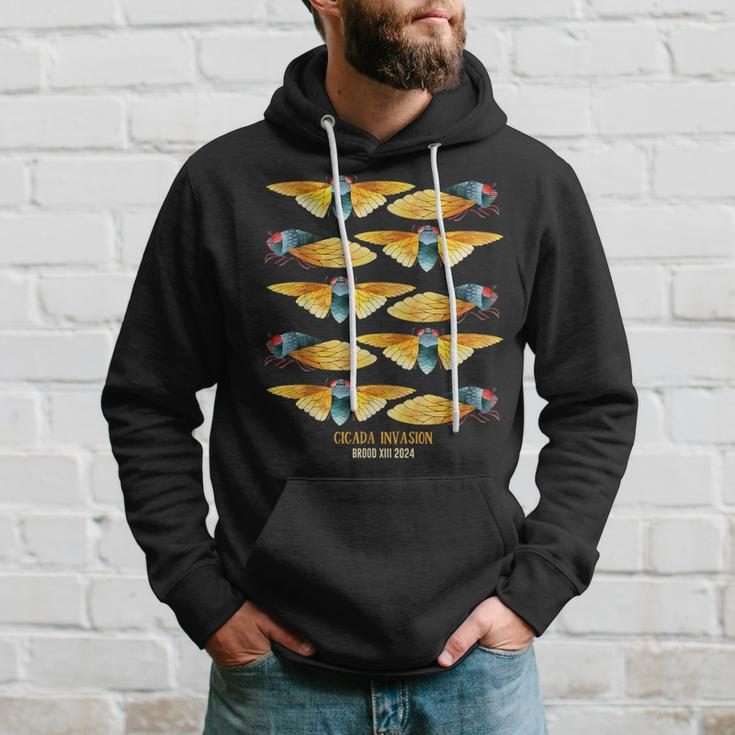 Cicada Invasion Brood Xiii 2024 Enthusiast Nature Observers Hoodie Gifts for Him