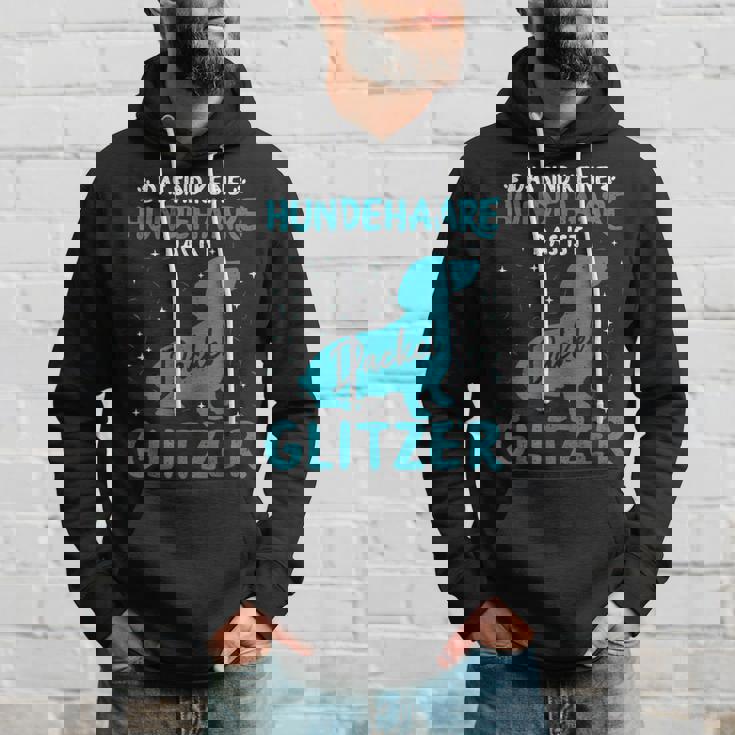 Dachshund Glitter Dachshund Dog Hair Dog Owners Hoodie Geschenke für Ihn