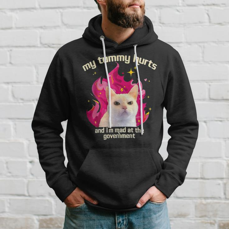 Cat My Tummy Hurts And I’M Mad At The Government Hoodie Gifts for Him
