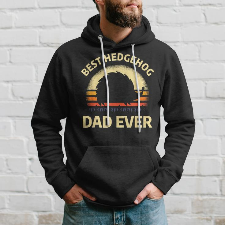 Hedgehogs Pet Animal Quote For A Hedgehog Lover Dad Hoodie Gifts for Him