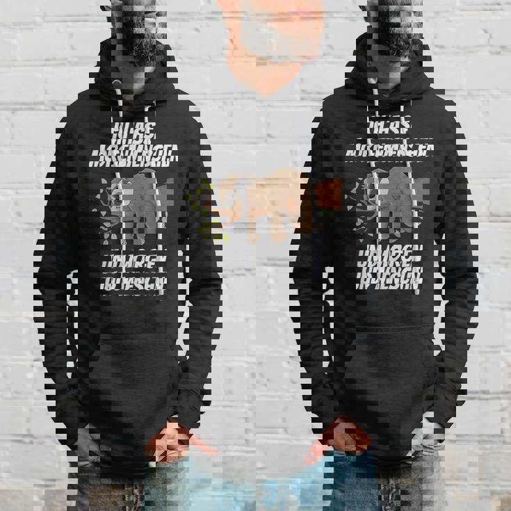 Ich Hasse Morgenmenschschen Und Morgen & Menschen Morgenmuffel I Hasse Hoodie Geschenke für Ihn