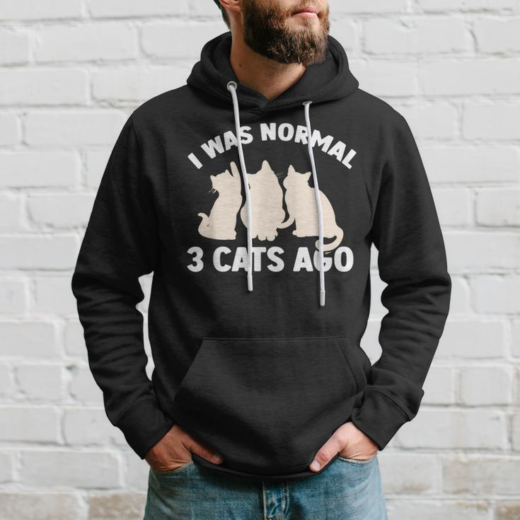 I Was Normal 3 Cats Ago Cat Kitten Kitty Hoodie Gifts for Him
