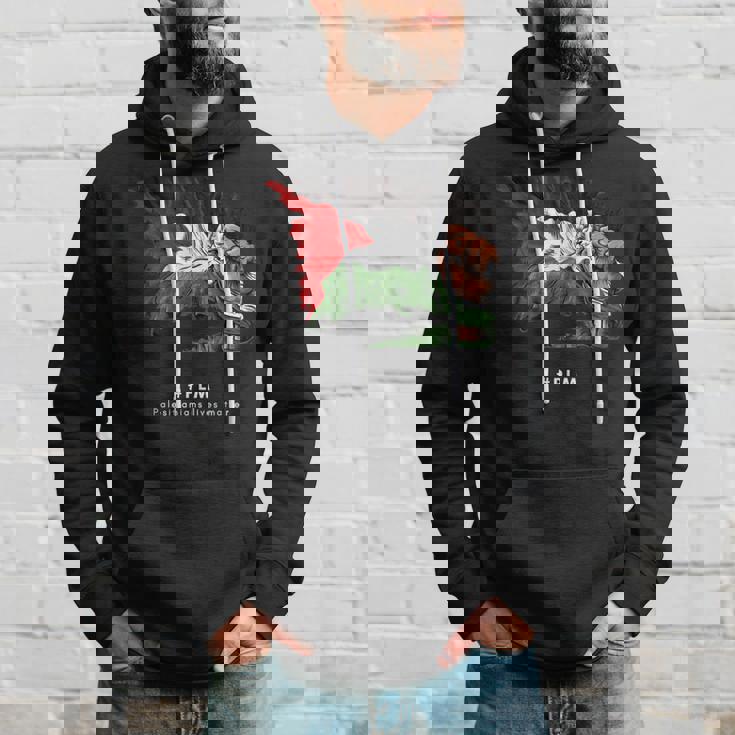 Palestina Con Diseño De Hada Palestina Sudadera Regalos para él