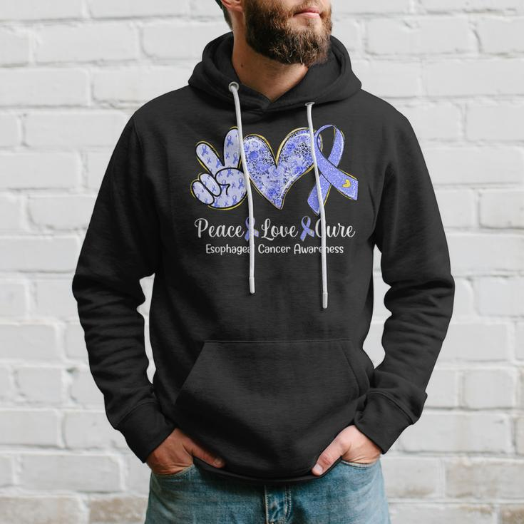 Peace Love Cure Periwinkle Ribbon Esophageal Cancer Hoodie Gifts for Him