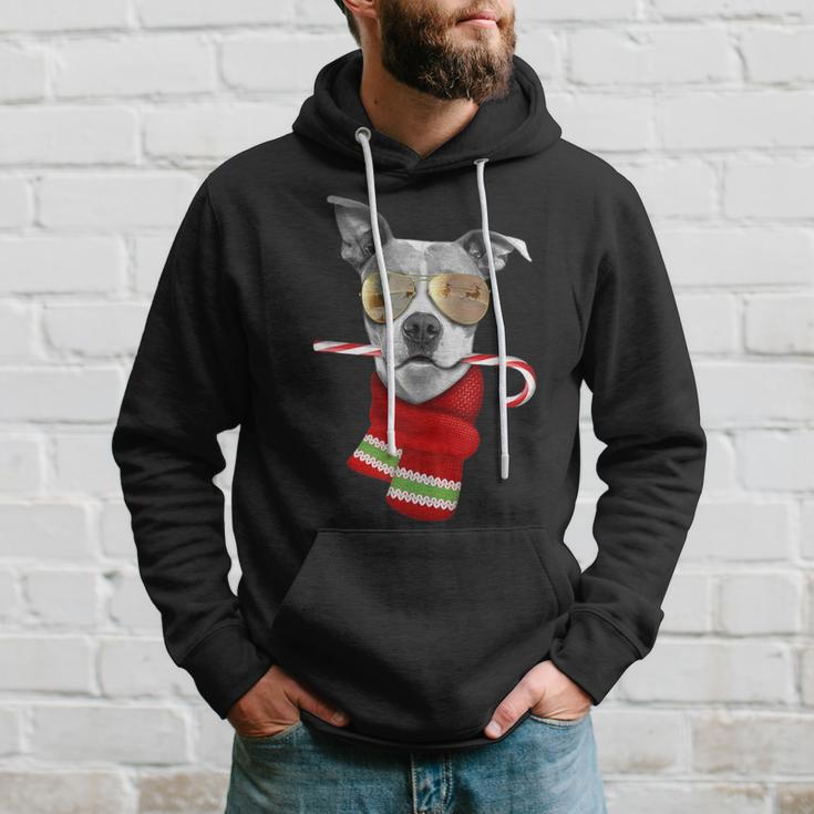 Pitt Bull Cute Christmas Dog Lovers Sunglasses Hoodie Gifts for Him