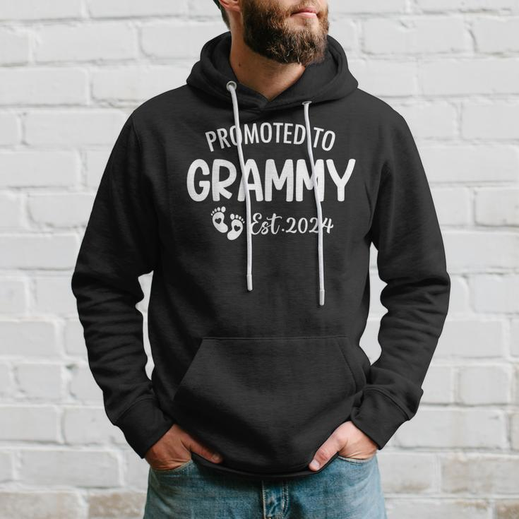 Promoted To Grammy Est 2024 Soon To Be Grammy Hoodie Gifts for Him