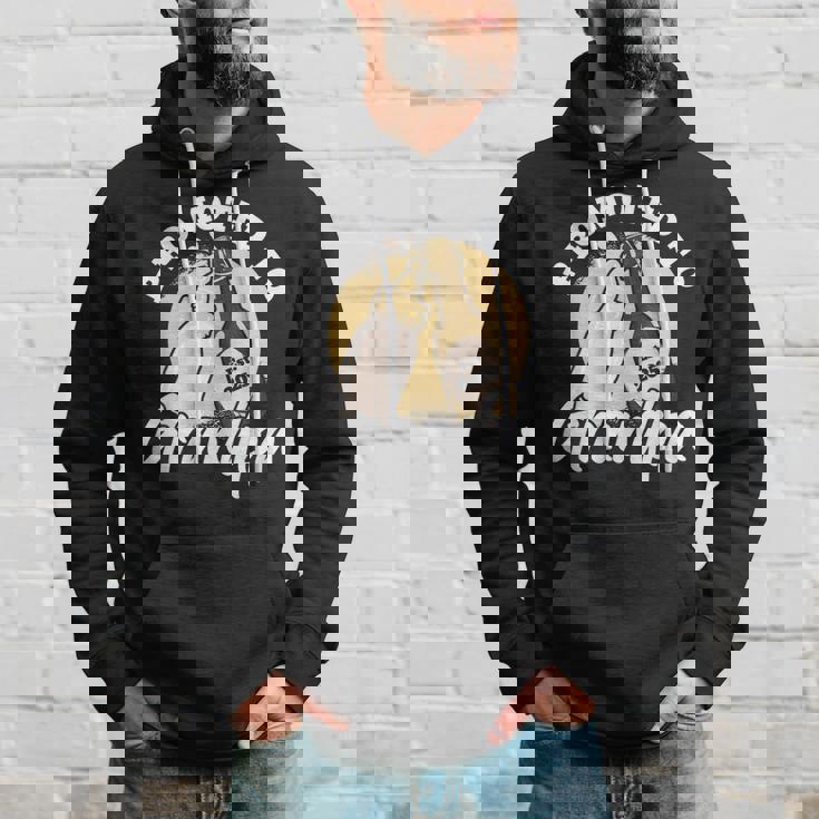 Promoted To Grandpa 2025 Hoodie Gifts for Him