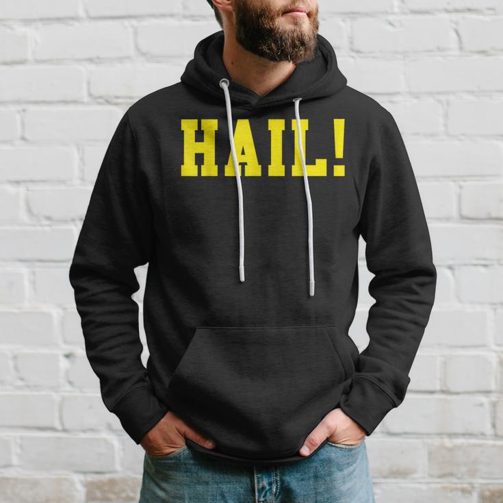 State Of Michigan Hail U M Ann Arbor Mi Aa Hoodie Gifts for Him