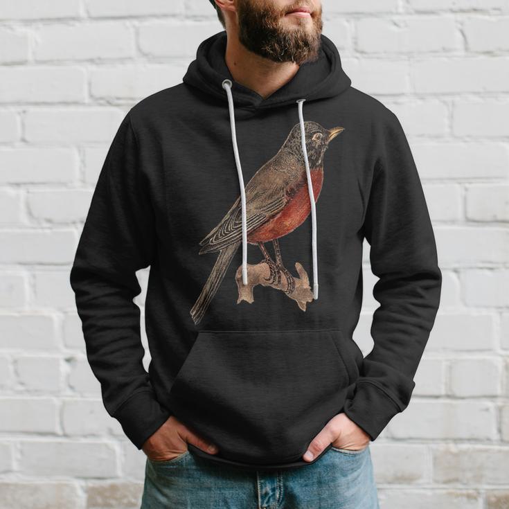 Vintage Robin Hoodie Gifts for Him