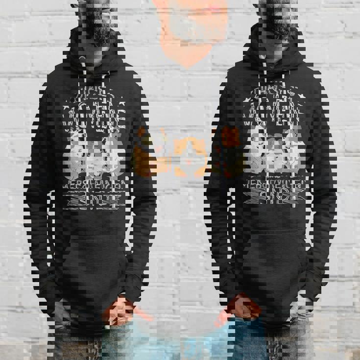 Zuhause Ist Wo Meine Meerschweinchen Sind Guinea Pigs Hoodie Geschenke für Ihn