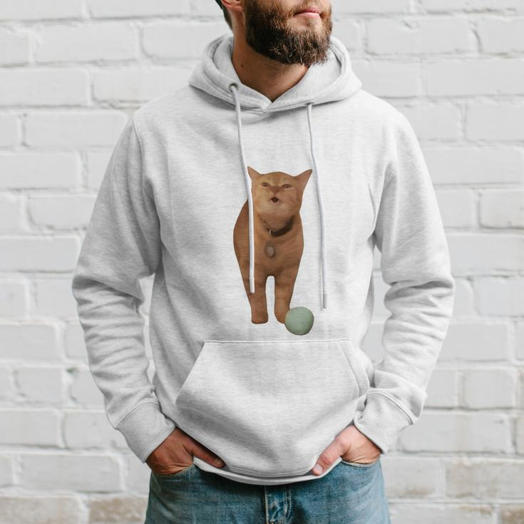 I Go Meow Cat Singing Meme Hoodie Gifts for Him