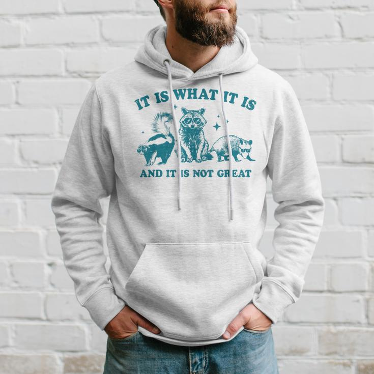 It Is What It Is And It Is Not Great Raccoon Trash Panda Hoodie Gifts for Him